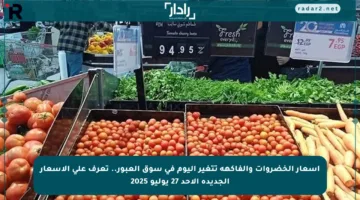 أسعار الخضروات والفاكهة تتغير اليوم في سوق العبور.. تعرف على الأسعار الجديدة الأحد 27 يوليو 2025
